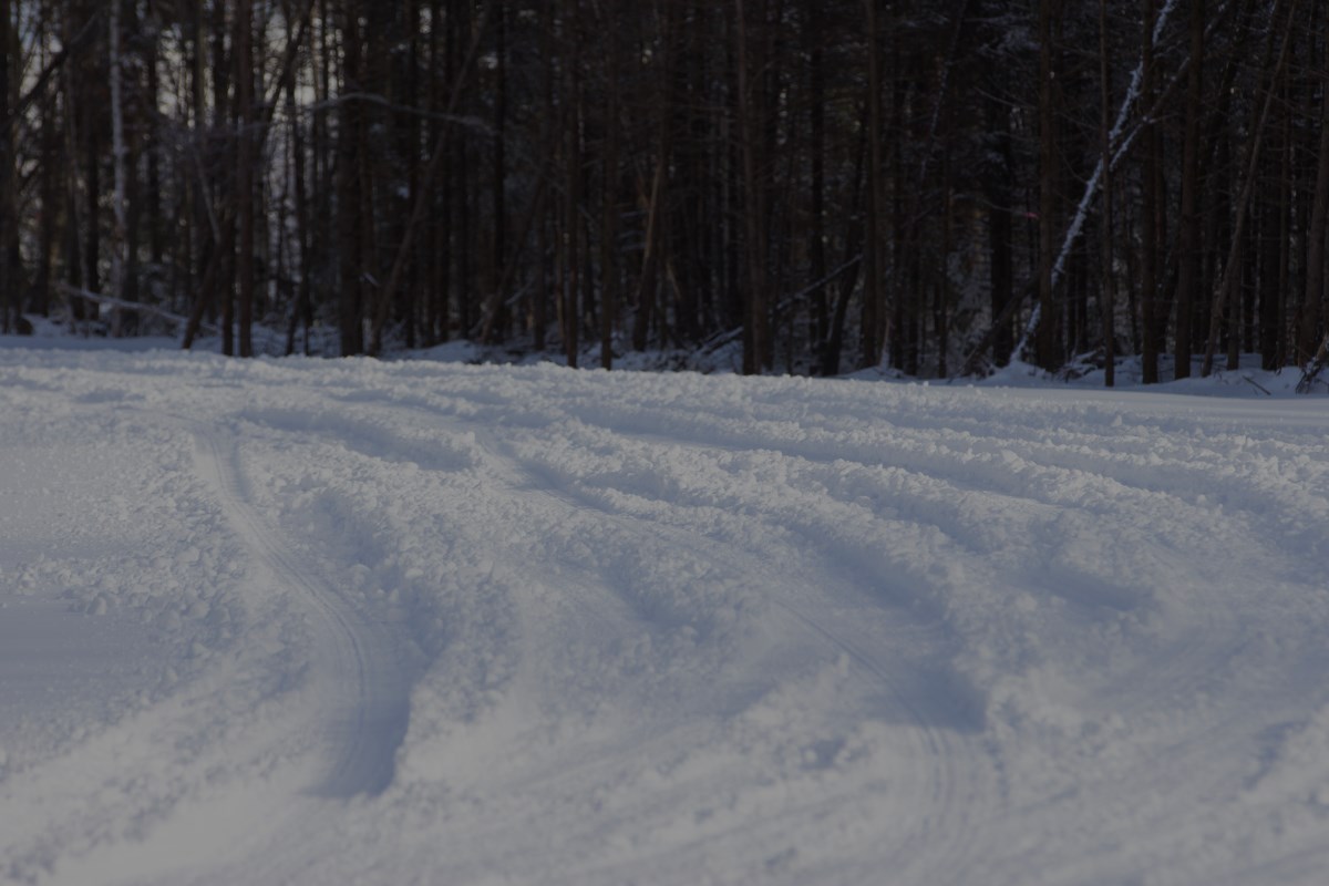Déneigement JM, déneigement, déneigement à Québec, déneigement à Beauport, Beauport, forêt, neige, tracteur